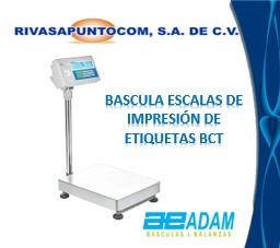 BASCULA DE IMPRESIÓN DE ETIQUETAS SERIE BCT ADAM EQUIPMENT