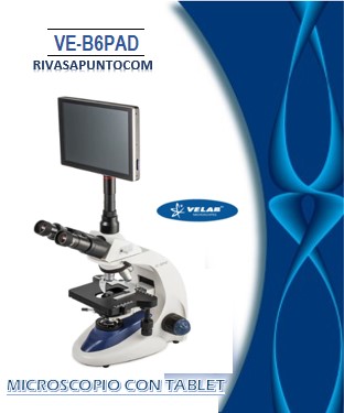 Triocular tipo Siedentopf inclinada a 30°, giratoria 360° con ajuste de distancia interpupilar de 48 - 75 mm  Revolver: Cuádruple  con objetivos ac